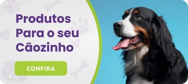 produtos para seu caozinho